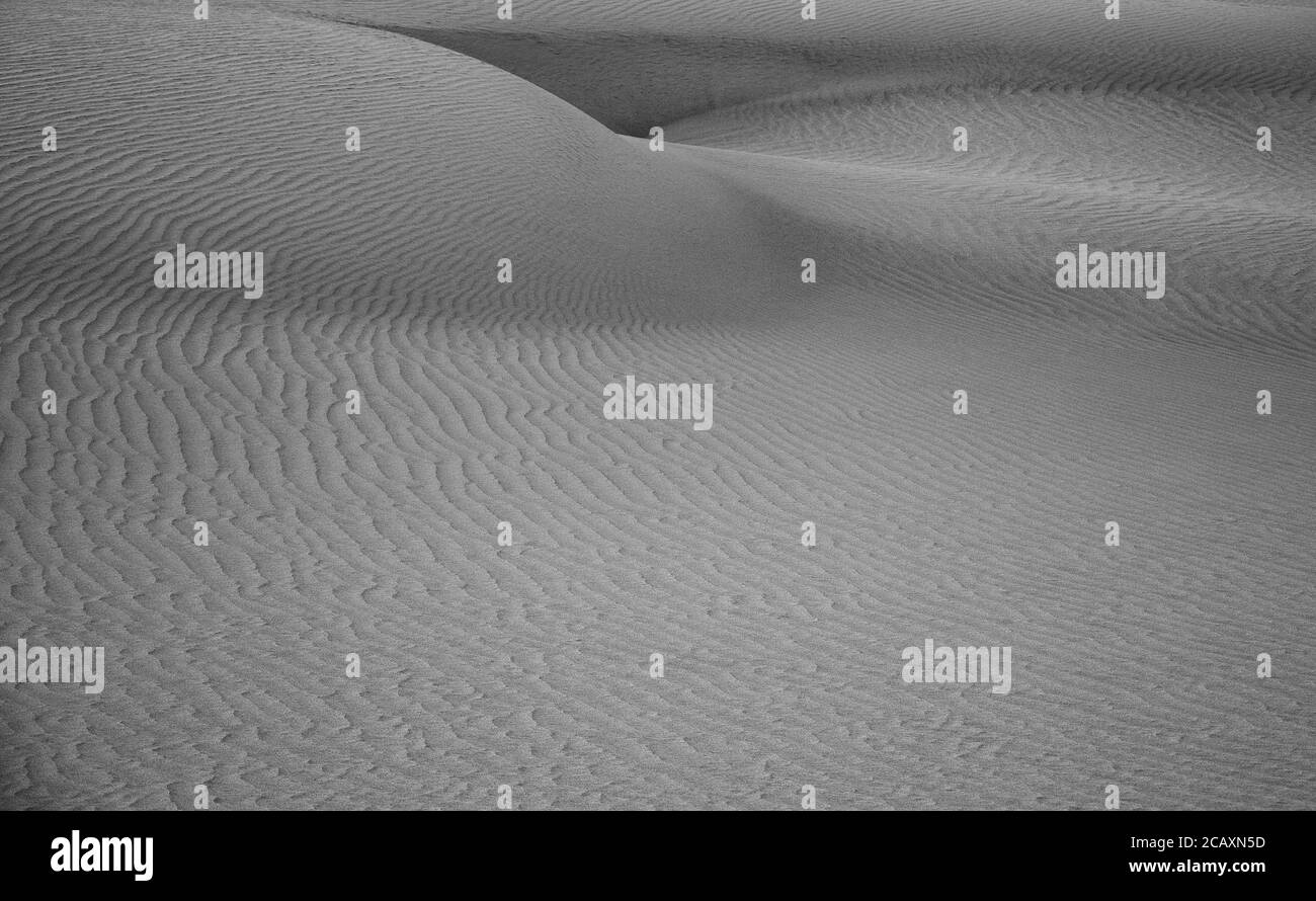 Sanddünen, Küste von Maspalomas, Gran Canaria, monochromer Modus Stockfoto