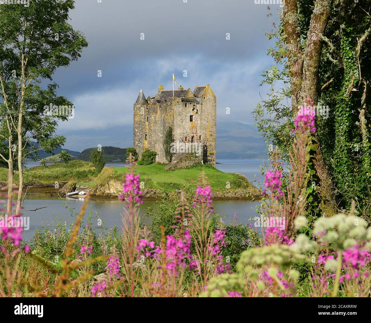 Castle Stalker umrahmt von Wildblumen an einem sonnigen Sommermorgen Stockfoto