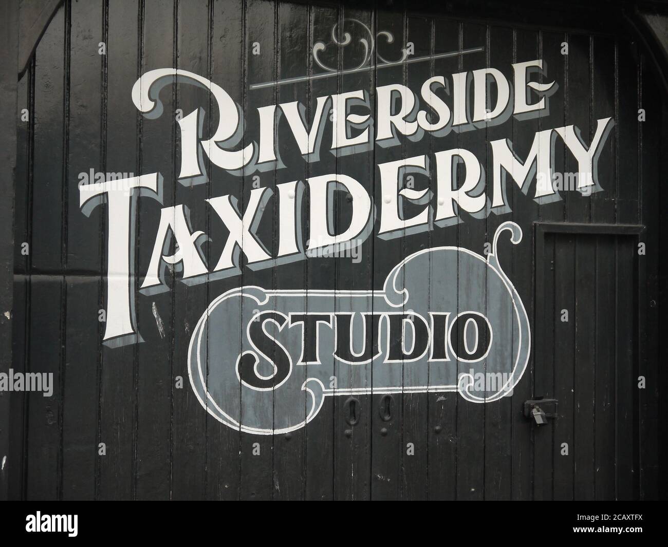 Bemaltes Schild für ein Taxidermy Studio Stockfoto