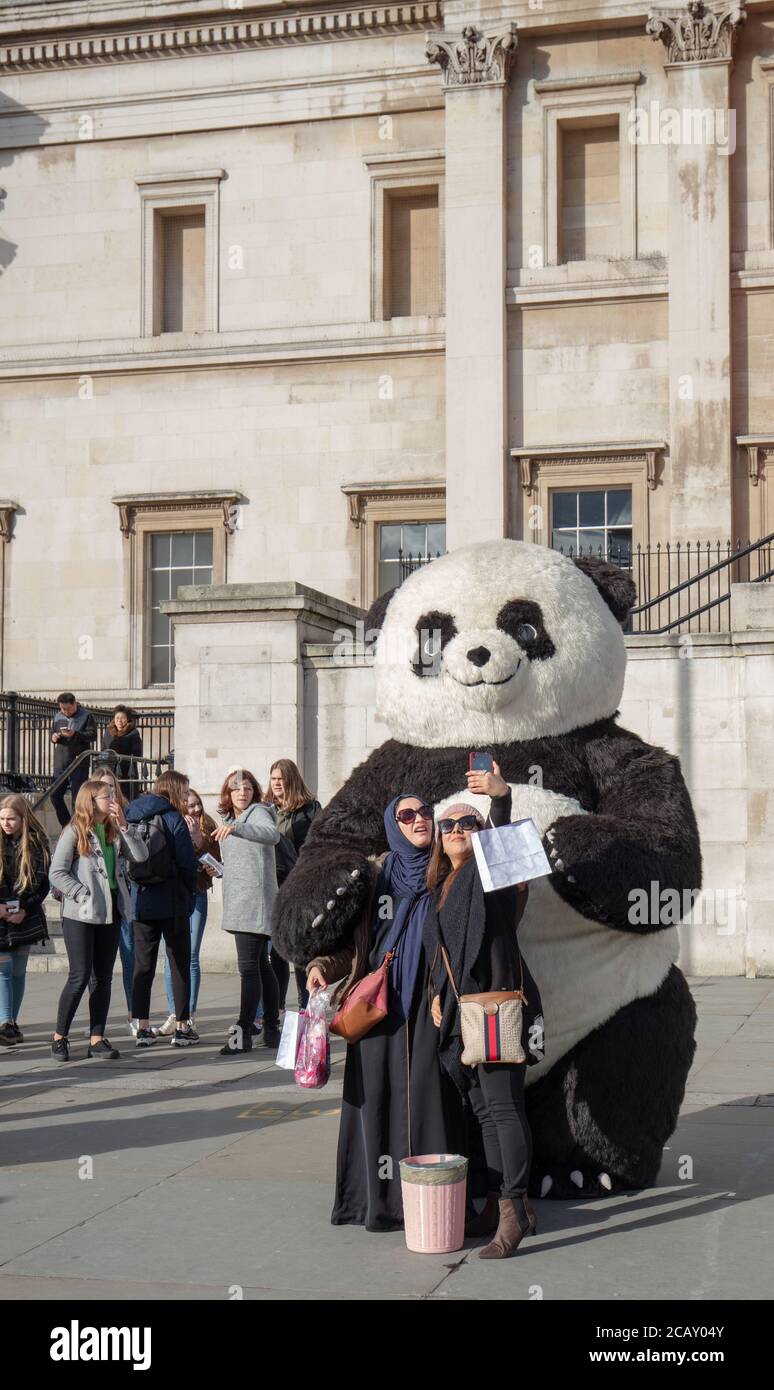 Als riesiger Panda gekleideter Busfahrer und Entertainer, der zusammen mit  zwei Frauen ein Selfie auf dem Trafalgar Square, London, UK, macht  Stockfotografie - Alamy