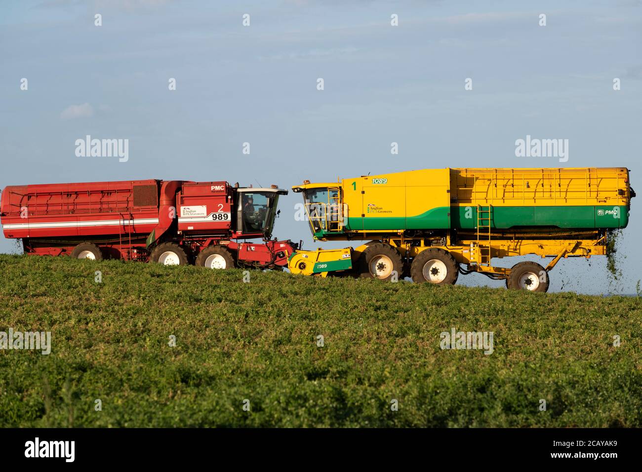 Anglian Pea Growers Bawdsey Suffolk Großbritannien Stockfoto