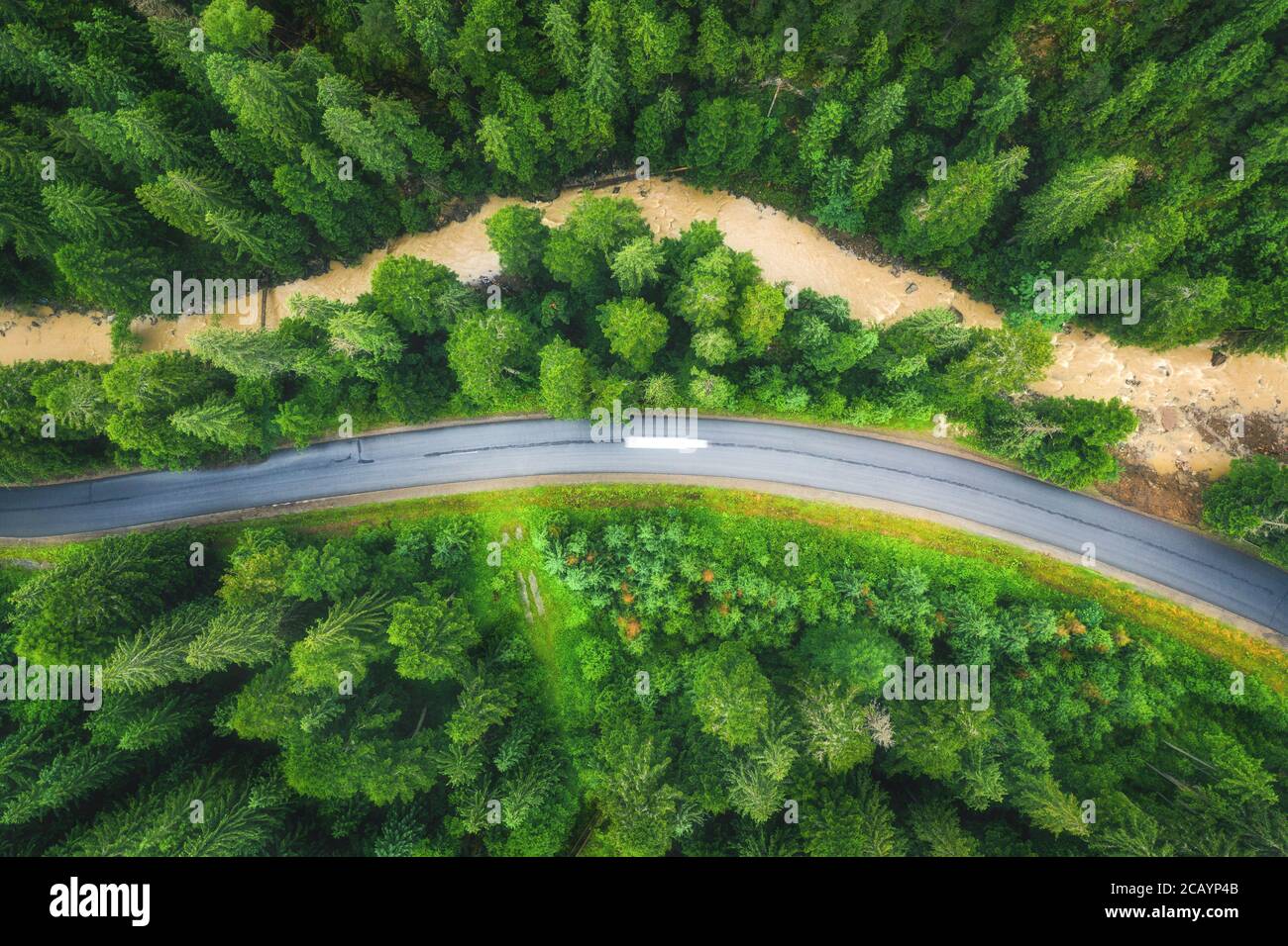 Luftaufnahme der Straße in schönen grünen Wald bei Sonnenuntergang im Sommer Stockfoto