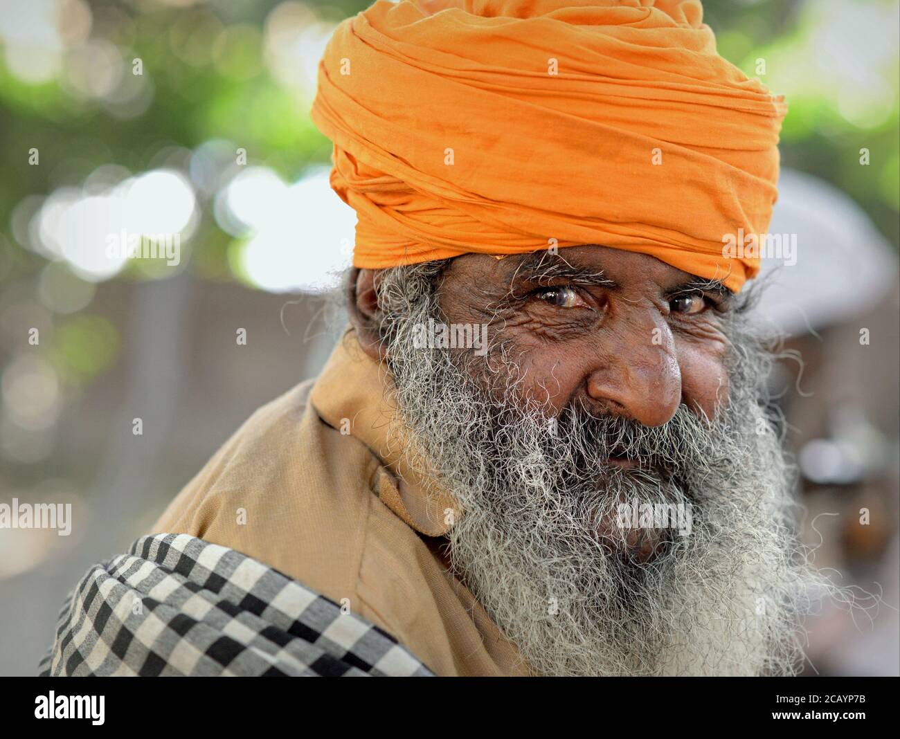 Der alte indische Sikh-Anhänger mit grauem Bart und lächelnden Augen trägt einen orangefarbenen Turban (dastar) und blickt in die Kamera. Stockfoto