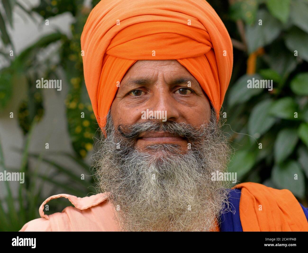 Der ältere indische Sikh-Krieger (Akali nihang) mit orangefarbenem Turban (dastar) schaut in die Kamera. Stockfoto