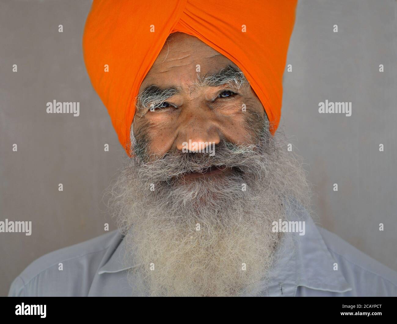 Älterer würdiger indischer Sikh-Mann mit langem Bart trägt einen traditionellen Turban (dastar) in Orange und Posen für die Kamera. Stockfoto