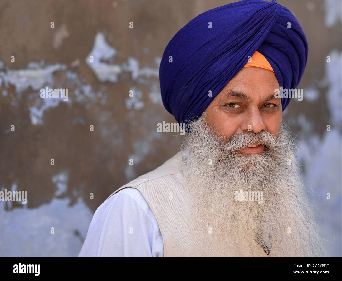 Älterer indischer Sikh-Mann mit blauem Sikh-Turban (dastar) und langen weißen Bartposen für die Kamera. Stockfoto