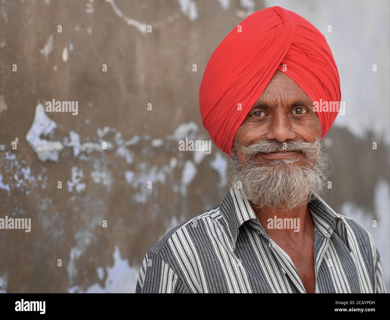Älterer indischer Sikh-Mann mit rotem Sikh-Turban (dastar) und kurzen Vollbart-Posen für die Kamera. Stockfoto