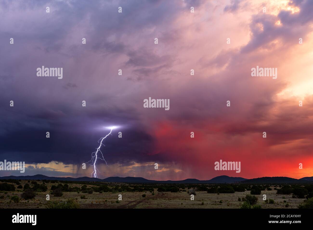 Blitzschlag von einem Sturm in der Nähe von Show Low, Arizona Stockfoto