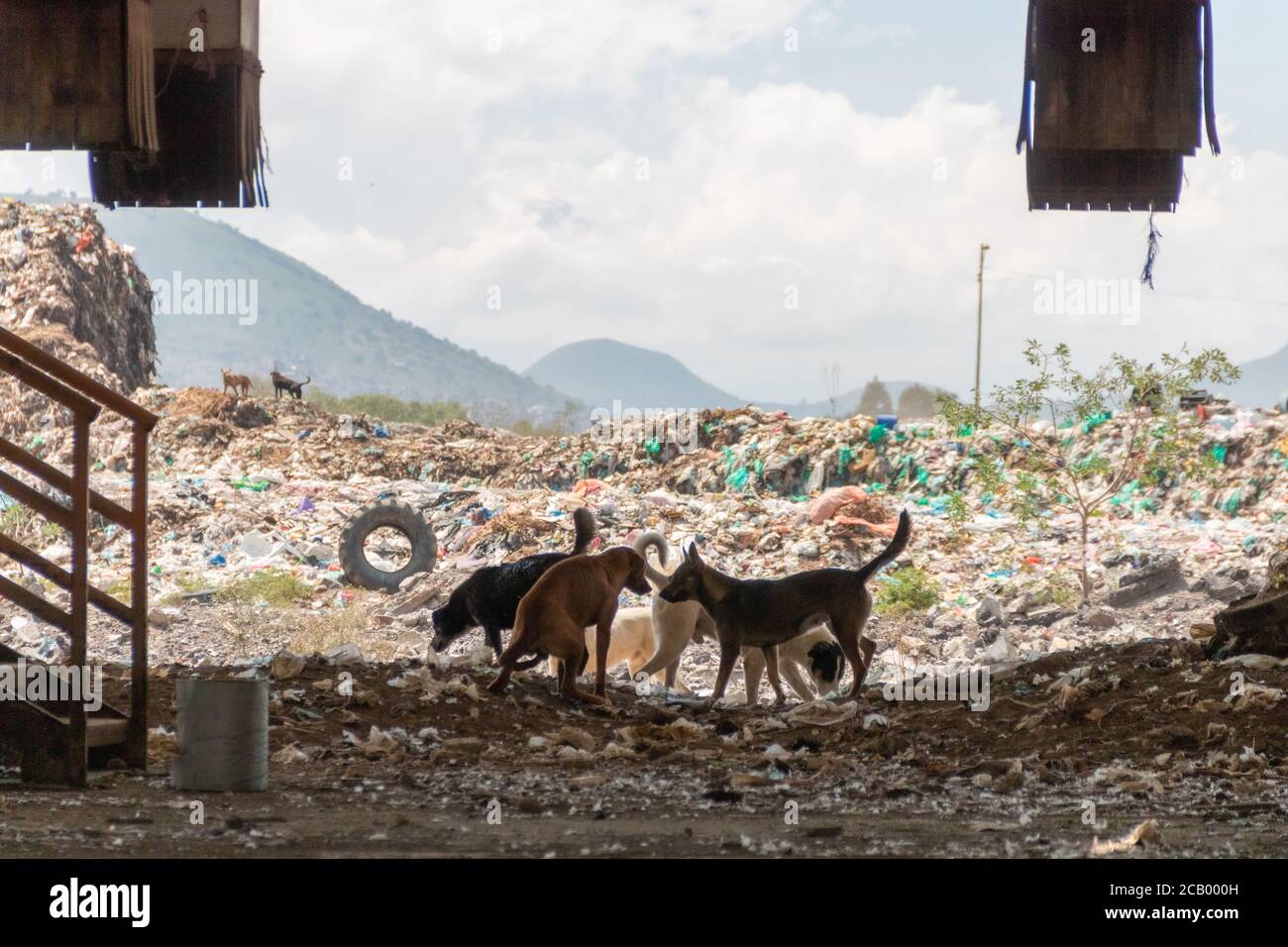 Eine riesige Mülldeponie. Ansammlung von Müll auf Deponien oder Deponien. Verschmutzungskonzept. Stockfoto