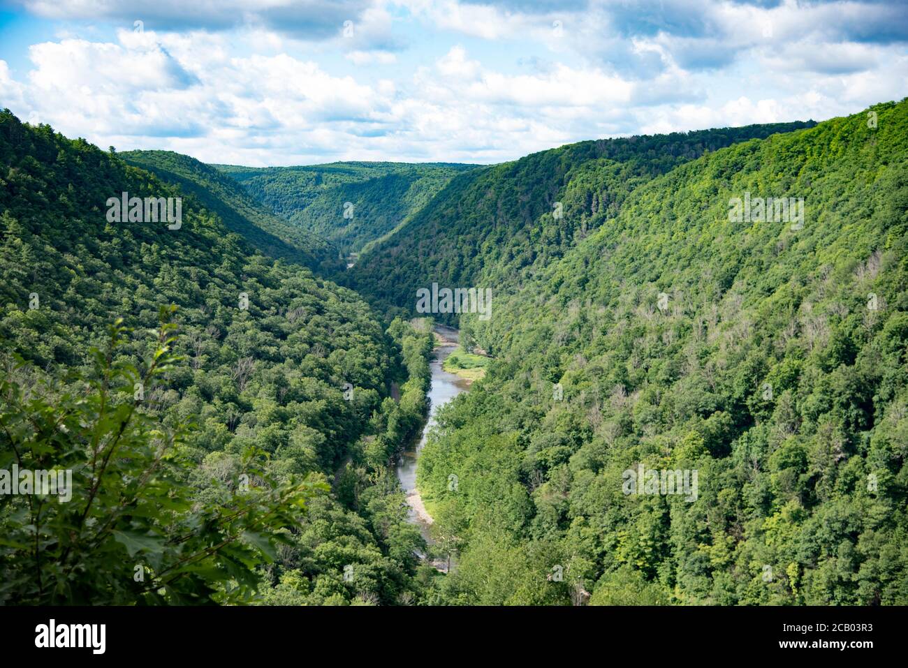 Pennsylvania Grand Canyon, Usa Stockfoto