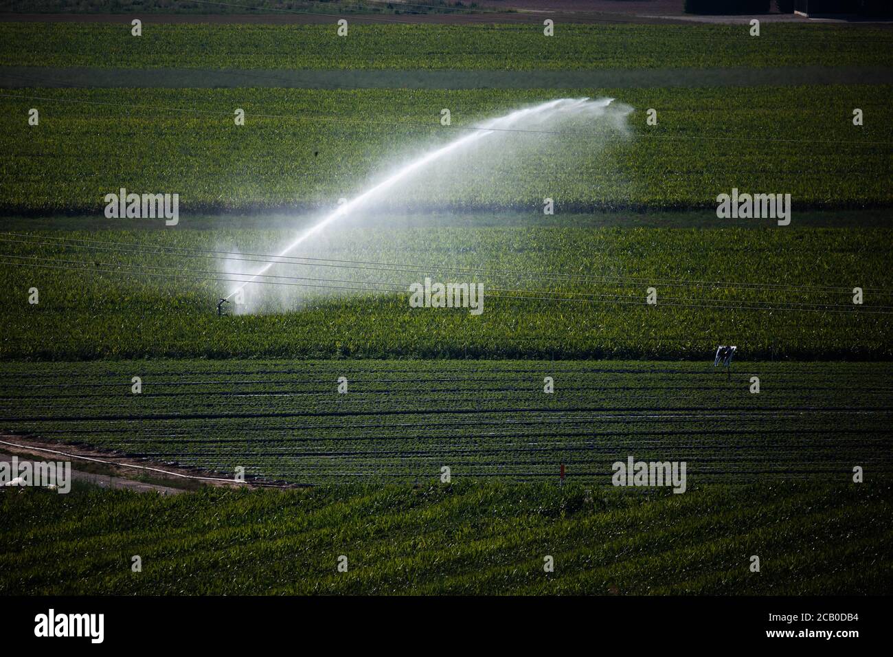 Dürreperiode Stockfotos und -bilder Kaufen - Alamy