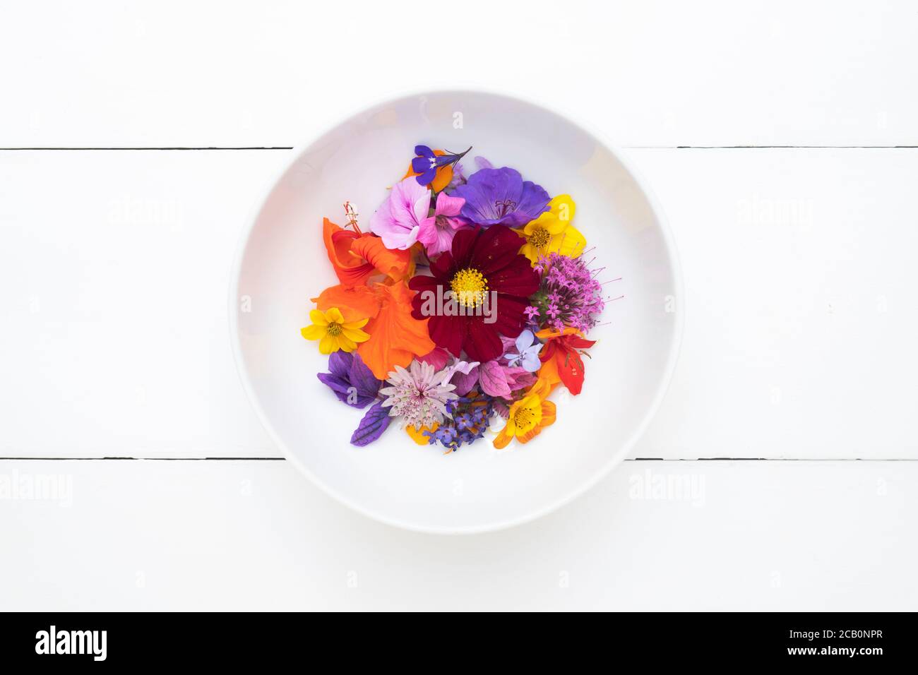 Bunte Blumen in einer weißen Schale auf weiß lackiertem Holz Stockfoto