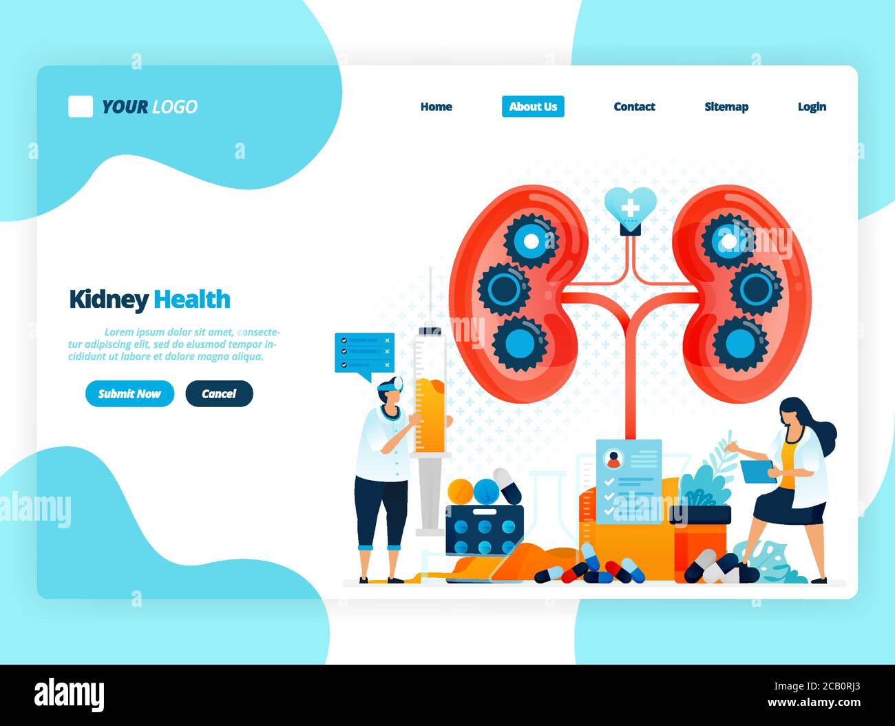 Illustration zur Überprüfung der Nierengesundheit. Erkrankungen und Störungen der Niere. Kontrolle und Handhabung für innere Organe. Entwickelt für Landing Page, templ Stock Vektor