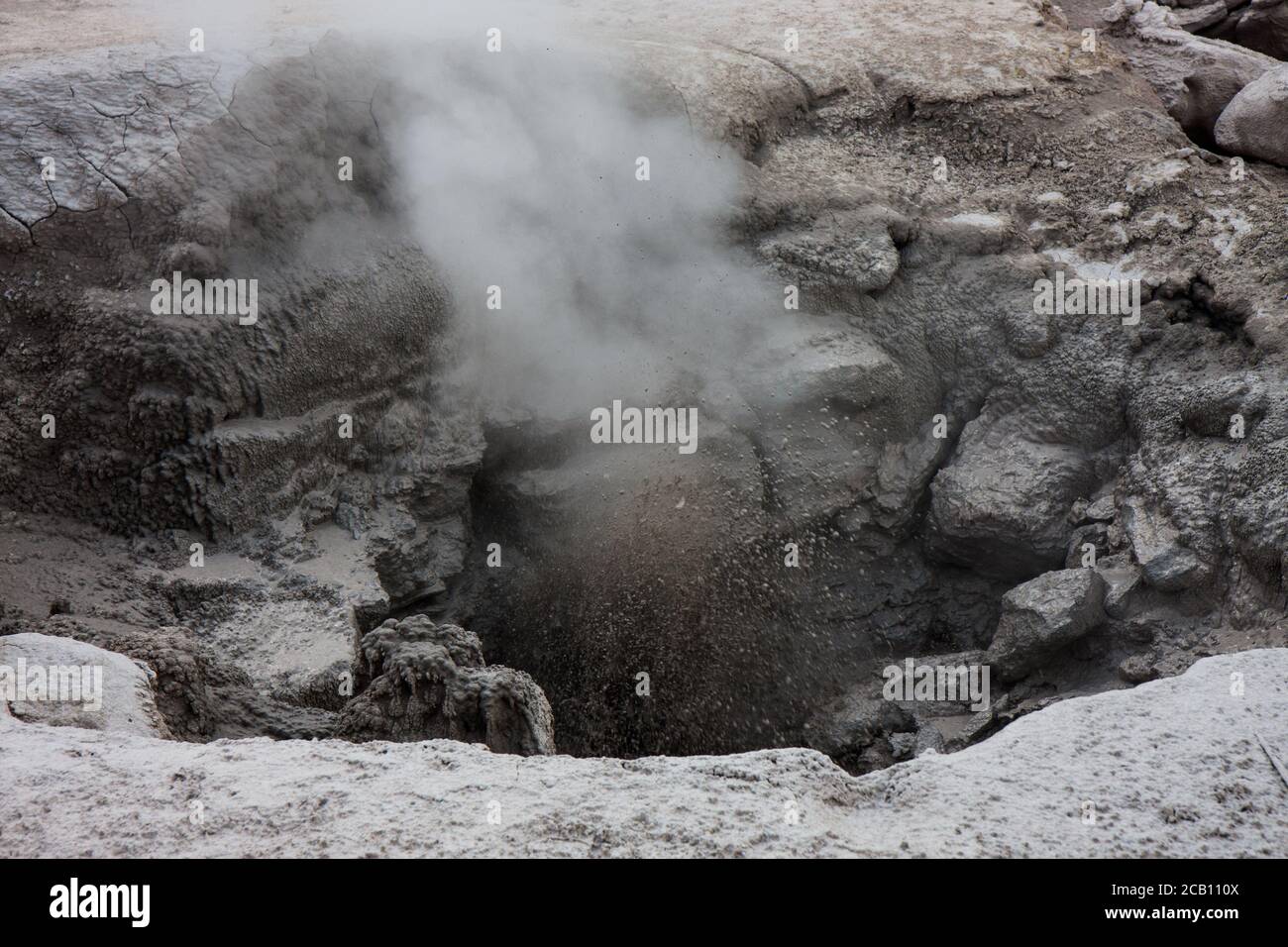 Becher Geysir in Yellowstone Stockfoto