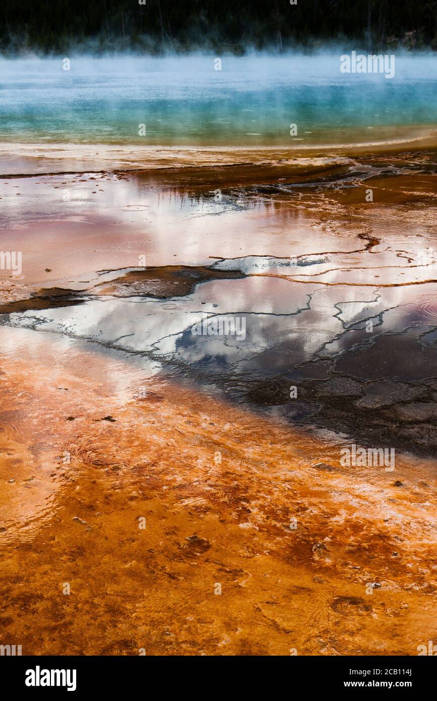 Farbenfrohe Details der Grand Prismatic Hot Spring in Yellowstone Nationalpark Stockfoto