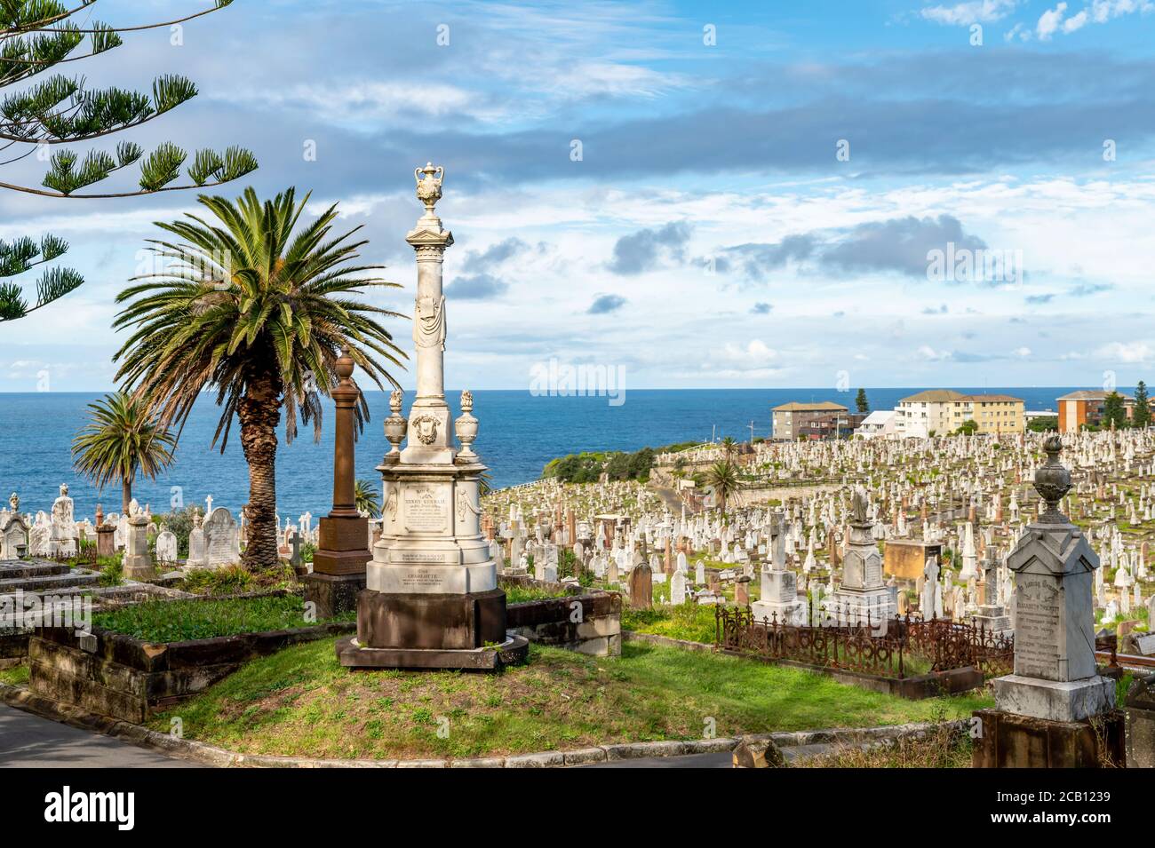 Sydney NSW Australien - 27. Mai 2020 - South Head Friedhof in Vaucluse an einem sonnigen Herbstnachmittag Stockfoto