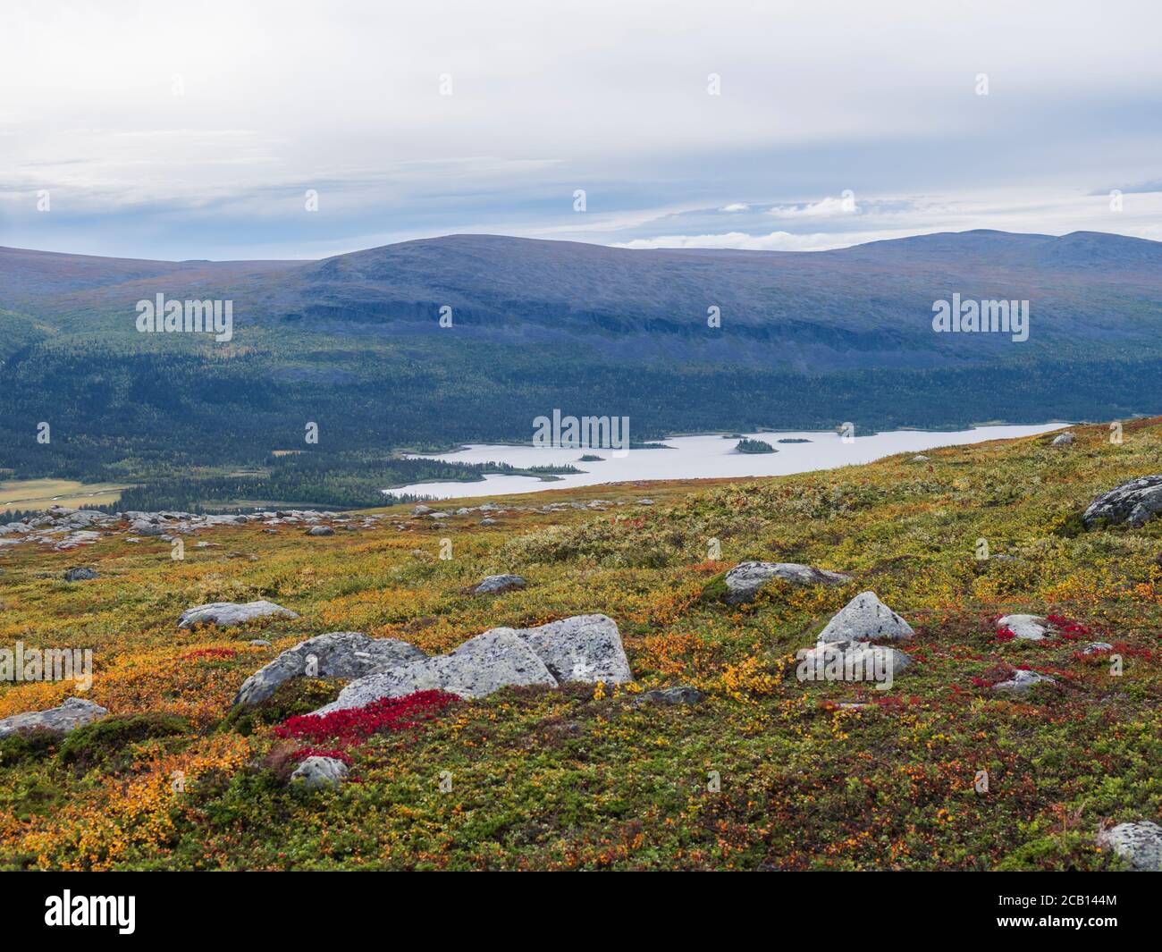 Wunderschöne wilde Natur des Sarek Nationalparks in Schweden Lappland mit schneebedeckten Berggipfeln, Fluss und See, Birken- und Fichtenwald. Früh Stockfoto