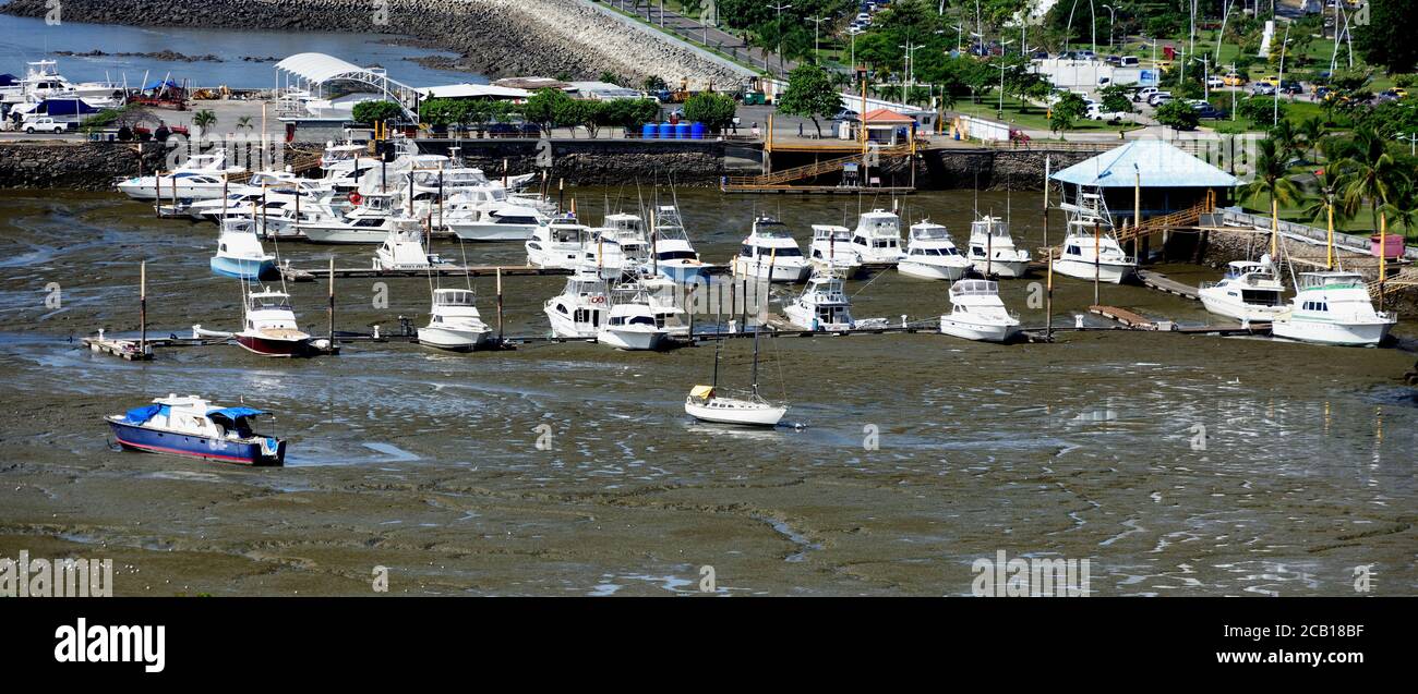 Eine Reihe von Vergnügungsbooten, einige Luxus, in einer Marina und trocken, Panama City, Panama, Mittelamerika Stockfoto