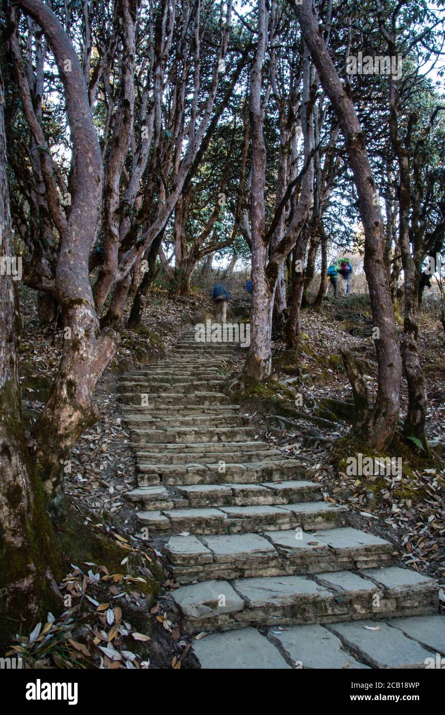 Wandern in Nepal, Annapurna Trek Treppenhaus und Aussicht Stockfoto