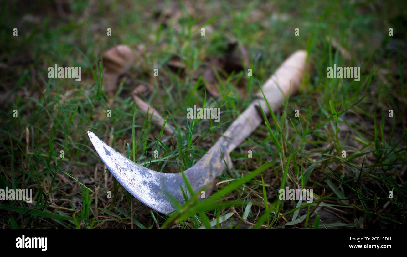 Werkzeug für Vintage-Bauern. Indian Grass Cutting Hand Werkzeug Mit Holzgriff. Indische Traditionelle Ernte, Gras Hand Schneidwerkzeug. Old Vintage Twisted . Stockfoto