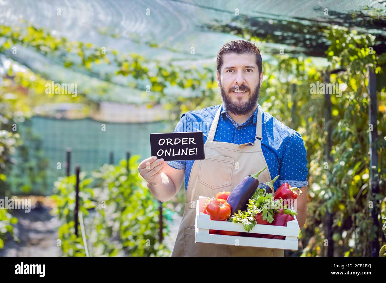 Bestellen Sie online Lebensmittel-Box von lokalen Landwirt zu unterstützen klein Unternehmen Stockfoto