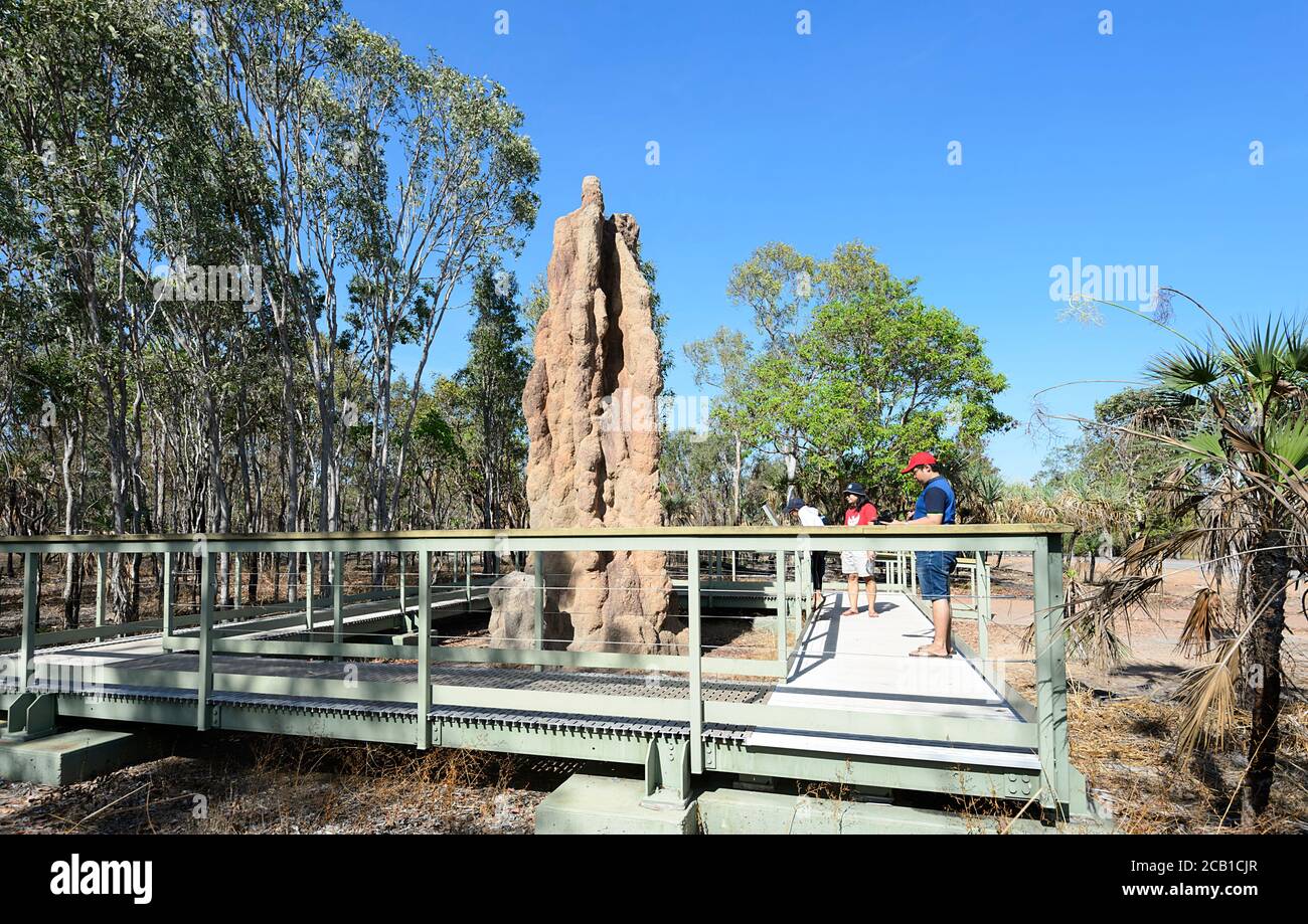 Touristen, die einen riesigen Termitenhügel in der Kathedrale betrachten, Litchfield National Park, in der Nähe von Darwin, Northern Territory, NT, Australien Stockfoto