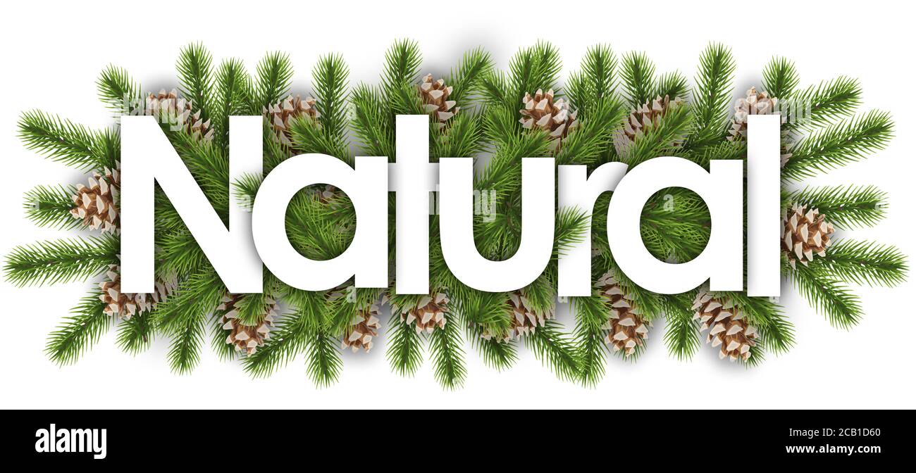 Natur im weihnachtlichen Hintergrund - Kiefernzweige Stockfoto