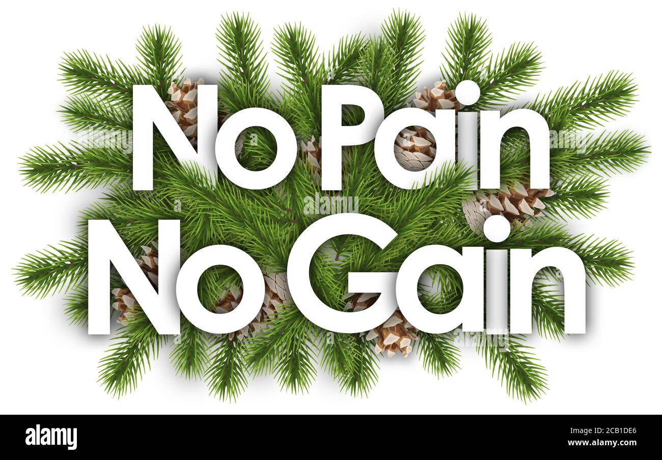 Kein Schmerz kein Gewinn im weihnachtshintergrund - Kiefernzweige Stockfoto