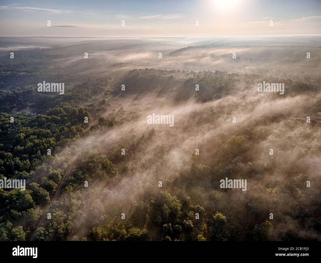 Neblige Waldhügel mit Morgennebel und Sonnenstrahlen. Tolle Waldlandschaft. Stockfoto