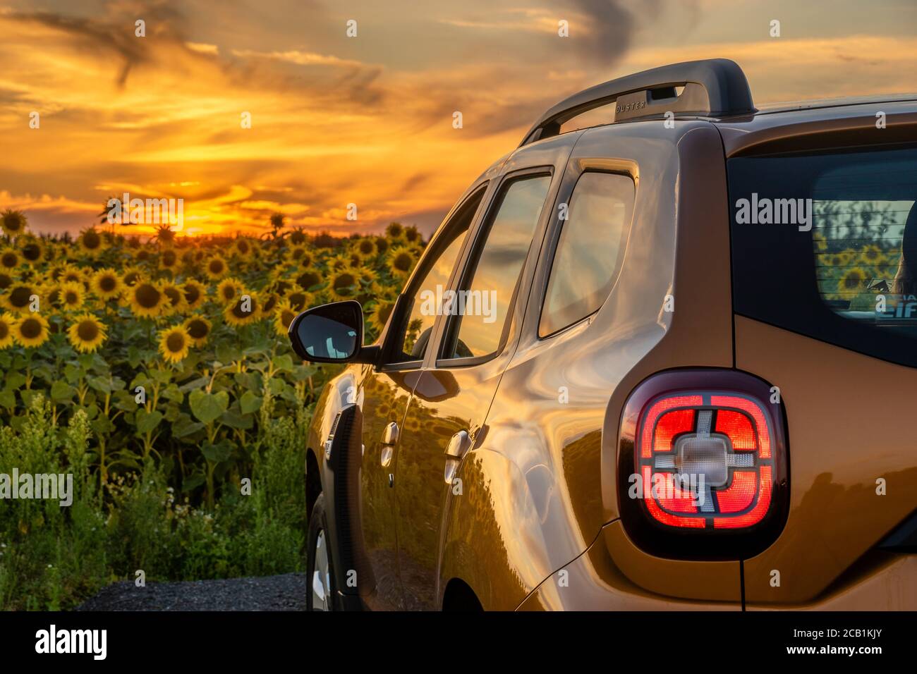 Dacia Duster SUV gegen ein Feld von blühenden Sonnenblumen gesetzt Stockfoto