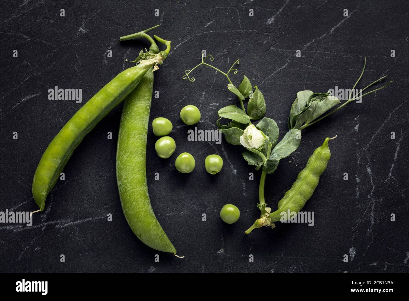 Frisch geerntete grüne Erbsen auf schwarzem Marmor Stockfoto