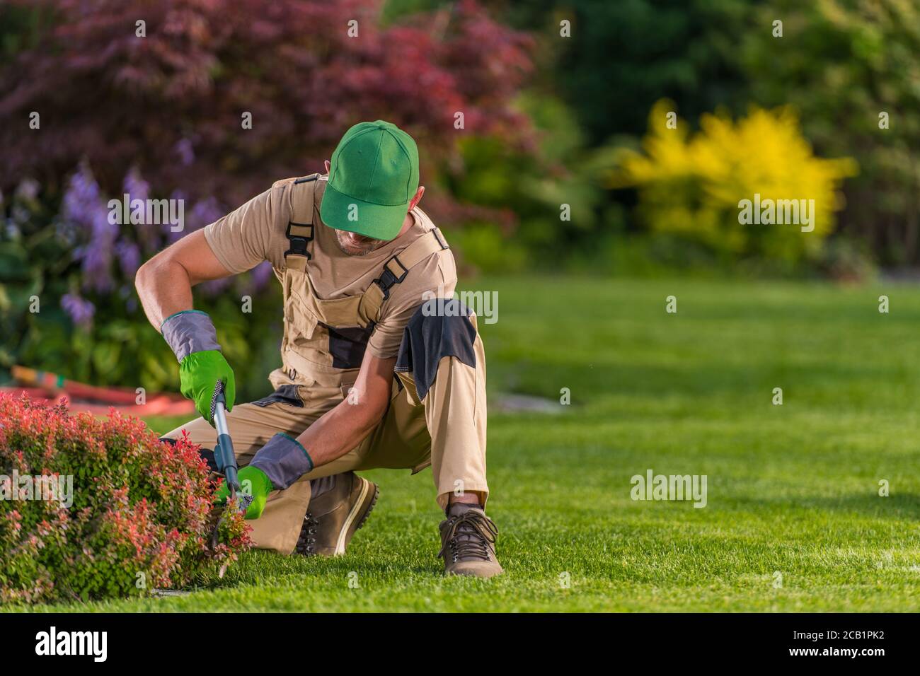 Männlicher Arbeiter Hockt Nach Unten Und Trimmt Kleine Rote Buchse Mit Manueller Schere. Stockfoto