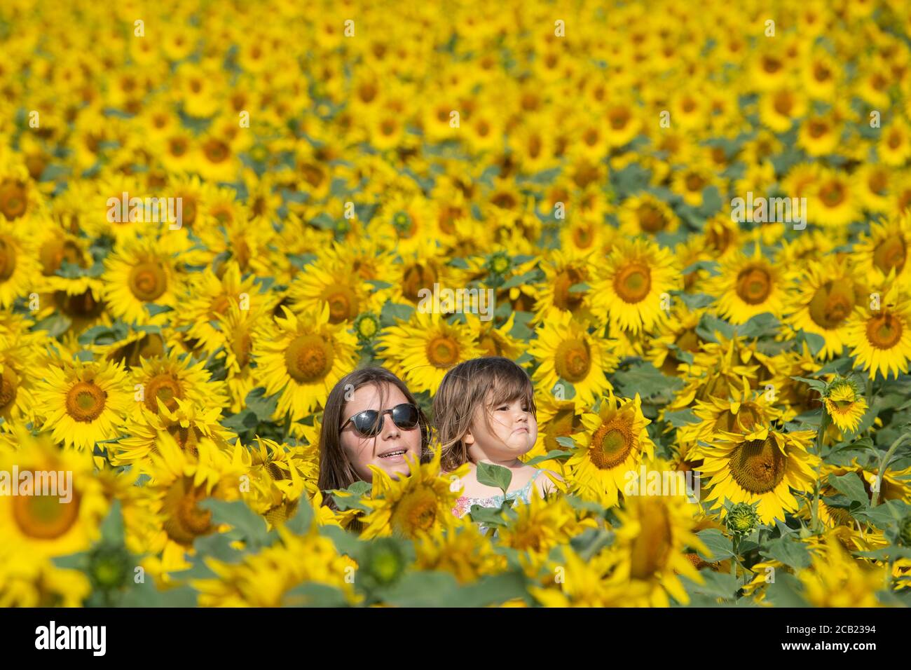 Sophie Golland, 18, mit ihrer Nichte Jessica, 2, in den Sonnenblumenfeldern auf der Vine House Farm in der Nähe von Baston, Lincolnshire. Stockfoto