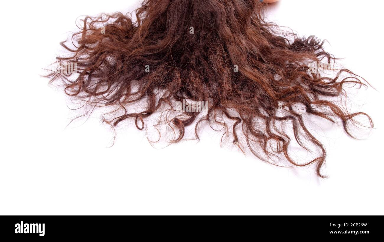 Weibliche lockiges Haar isoliert auf weißem Hintergrund. Stockfoto