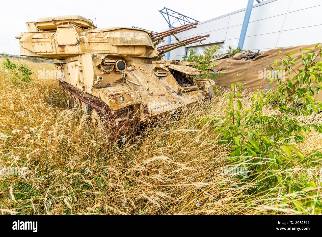 Korrodierender Tank, sowjetische ZSU Selbstfahrende Anti-Aircraft Gun, in Großbritannien. Gepanzertes Kampffahrzeug, AFV, in langem Gras. Raus ins Gras. Überwuchtiges Unterholz Stockfoto