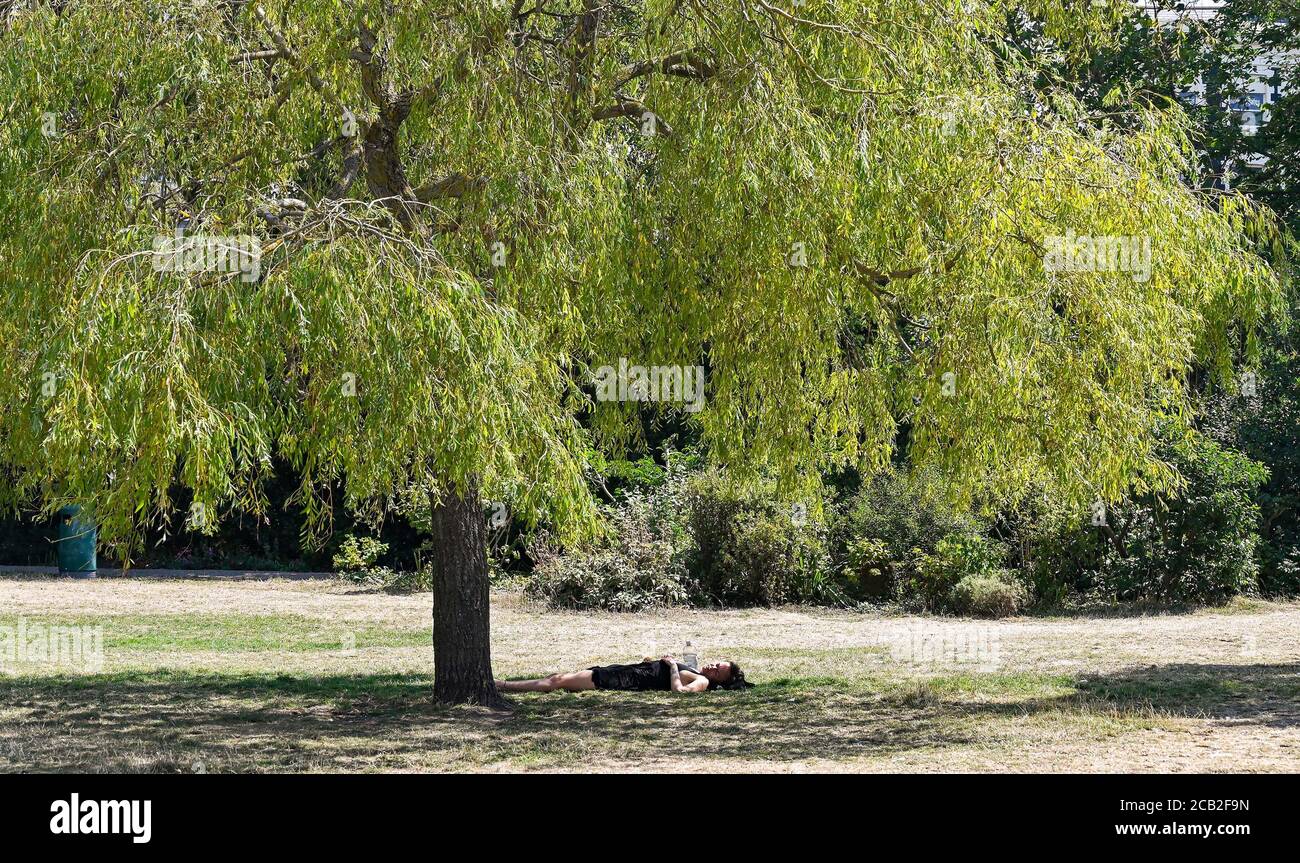 Brighton UK 10. August 2020 - Diese junge Frau findet Schatten unter einem Baum in Pavilion Gardens Brighton an einem heißen sonnigen Tag, wenn die Temperaturen in Teilen des Südostens wieder bis in die 30er Jahre reichen : Credit Simon Dack / Alamy Live News Stockfoto