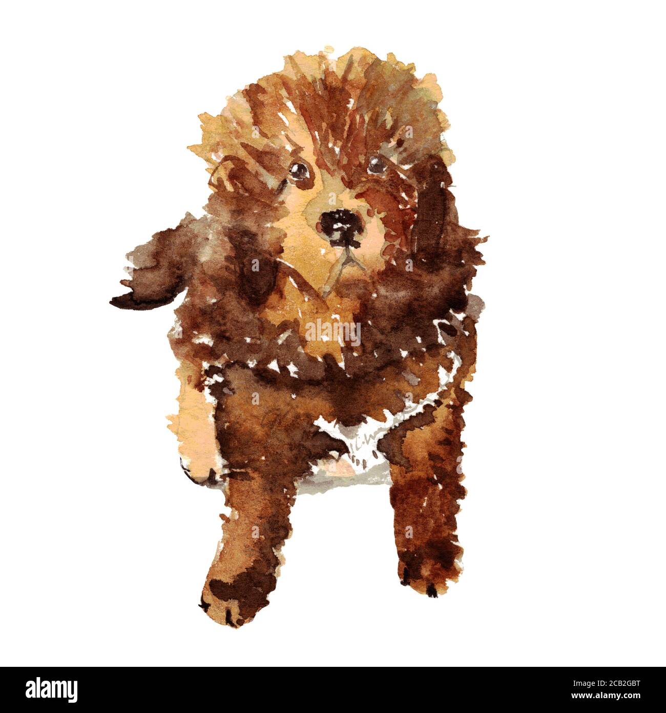 Aquarell handgezeichnete Illustration eines großen braunen Hundes mit weißem Bauch. Brauner Hund sitzt auf dem Boden. Tier im Cartoon-Stil. Design für Einbände, Buch Stockfoto