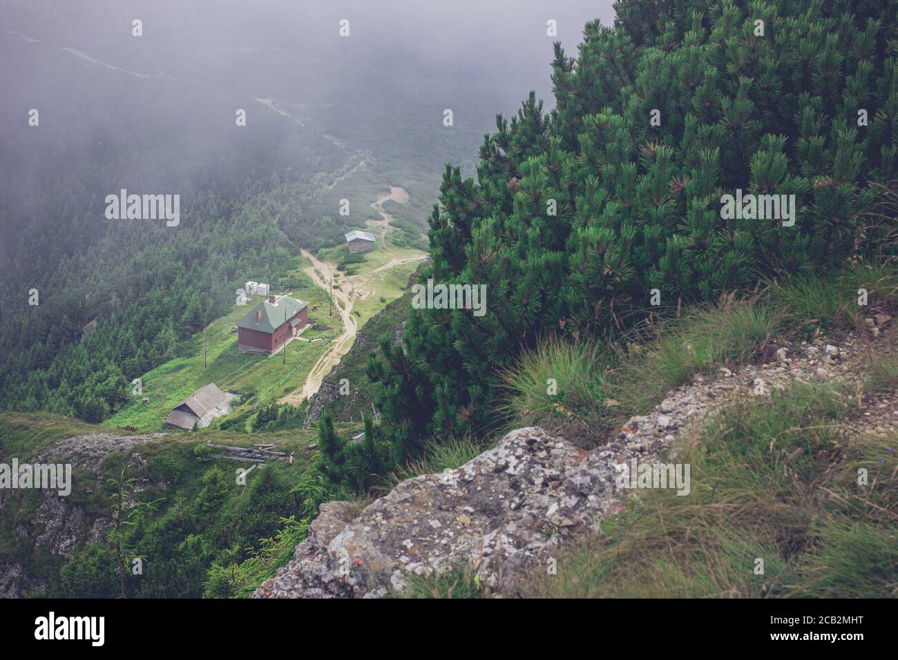 Meteo Station und Tannenwald vom Toaca Peak aus gesehen Im Ceahlău-Massiv in den Karpaten in Rumänien Stockfoto