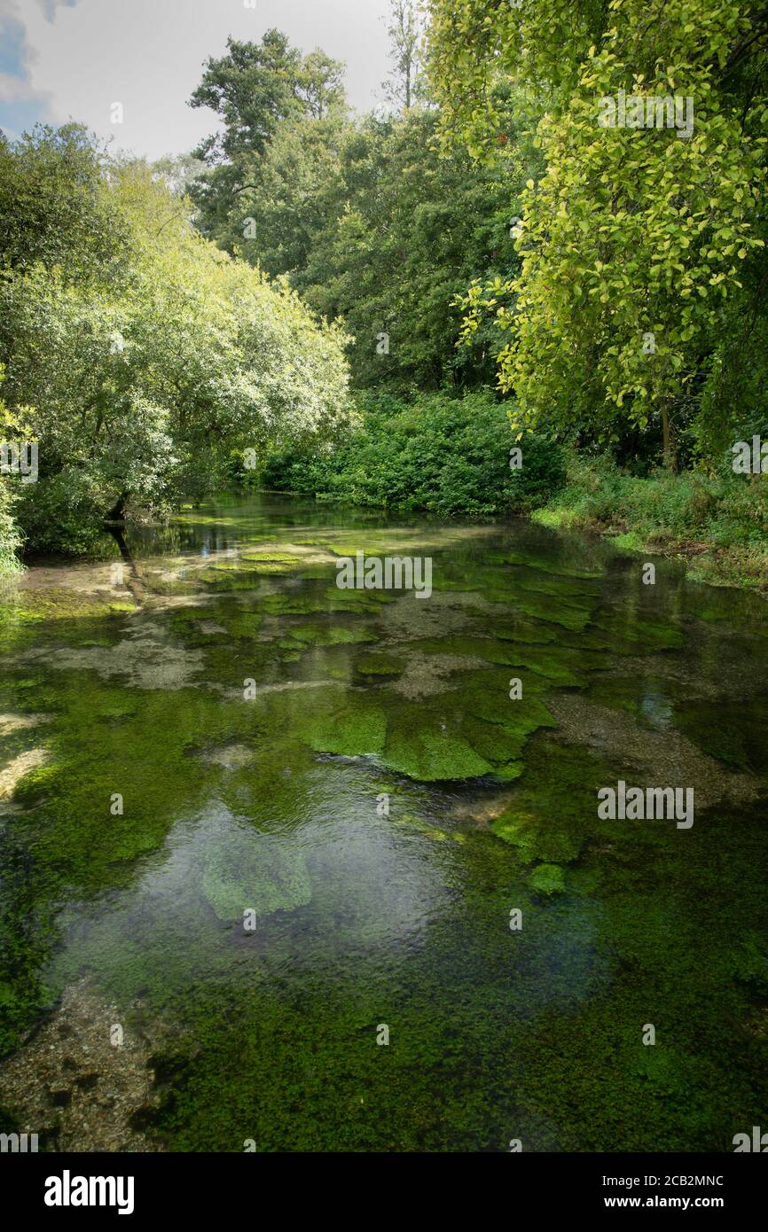 River Itchen, Ovington, Hampshire, Großbritannien Stockfoto