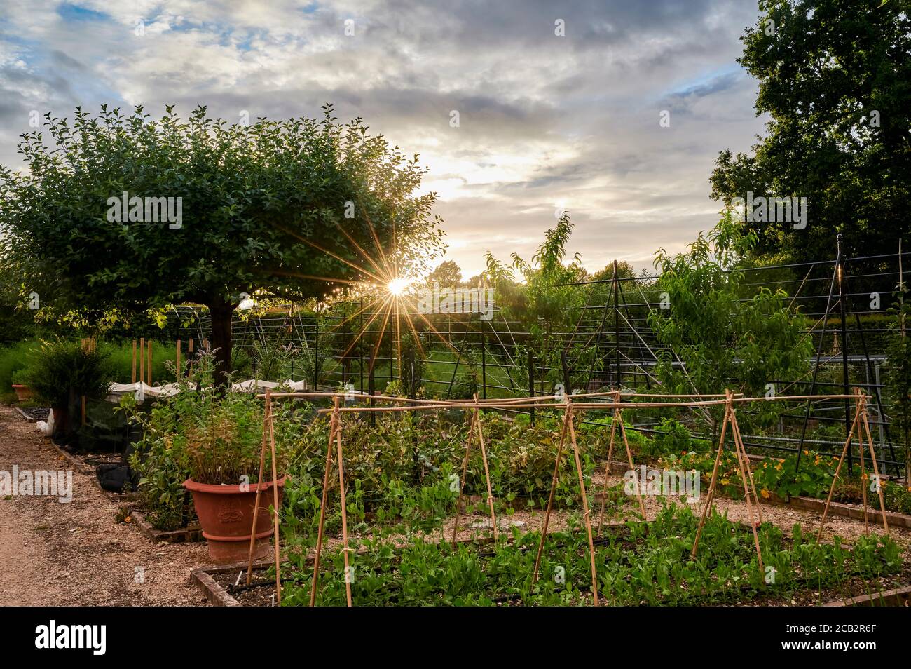 Blick auf einen organisierten Gemüsegarten mit schönem Himmel Stockfoto