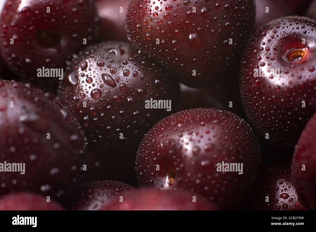 Kirsche . Nahaufnahme von frischen Kirschbeeren mit Wassertropfen. Stockfoto