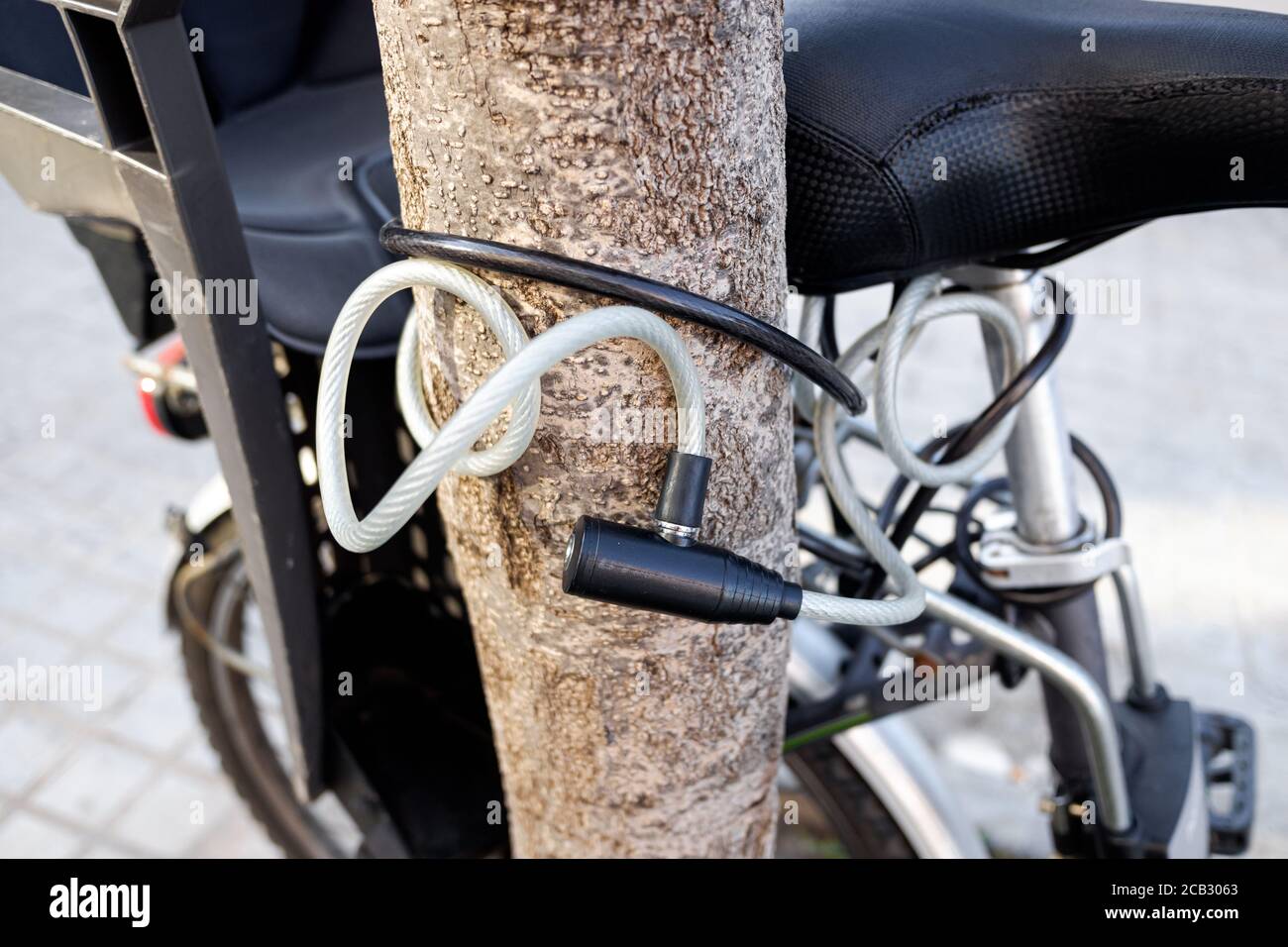 Fahrrad an den Stamm eines Baumes auf der öffentlichen Straße, mit einem Vorhängeschloss verkettet. Stockfoto