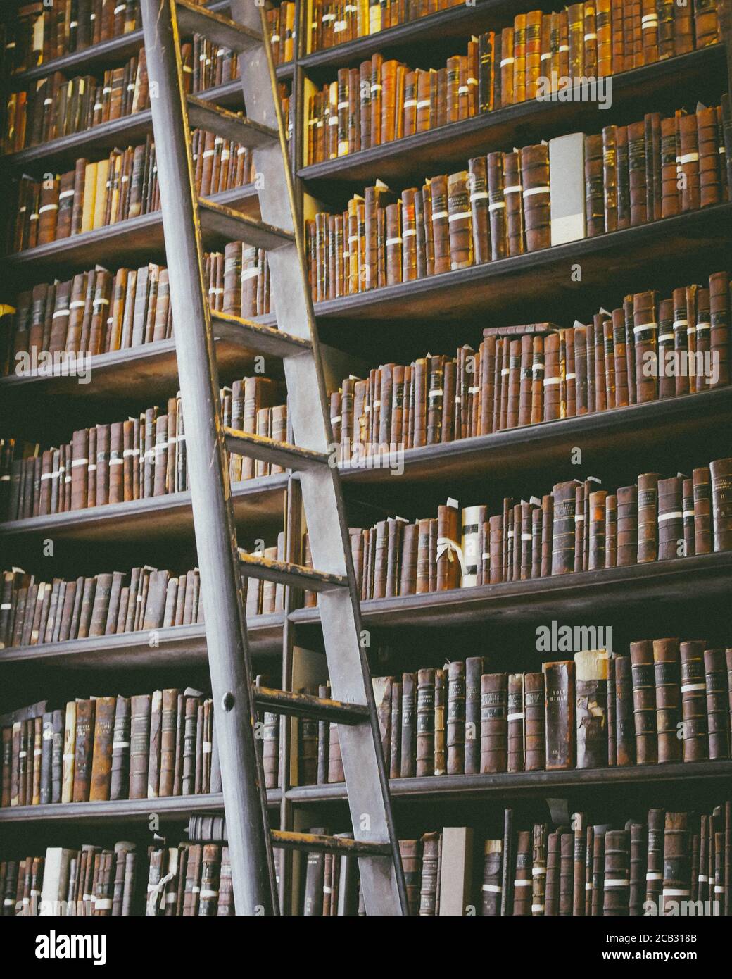 Bücherregale alter, ledergebundener Bücher mit einer Leiter davor Stockfoto