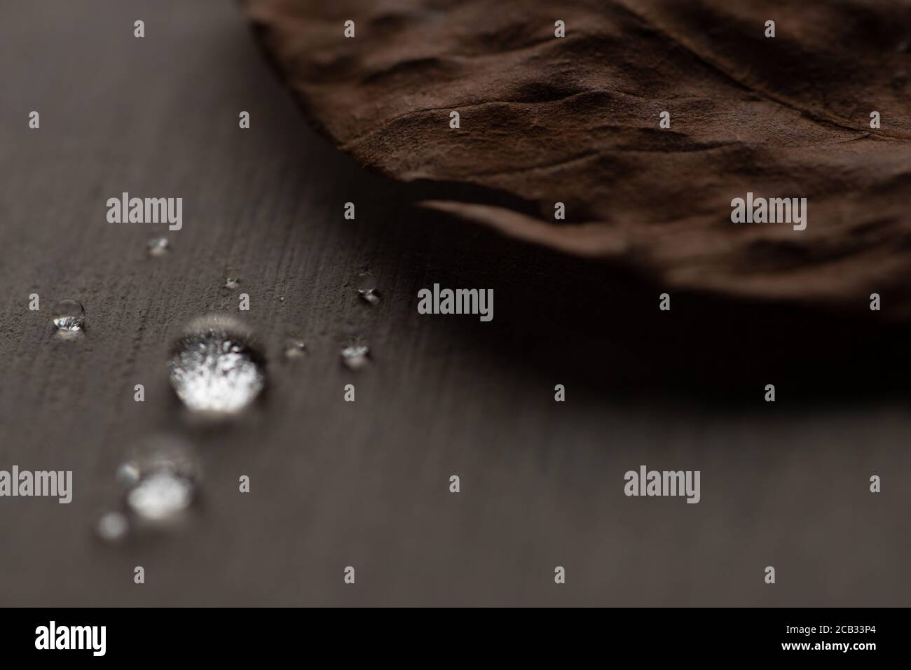 Wassertropfen auf einer flachen grauen Oberfläche Stockfoto