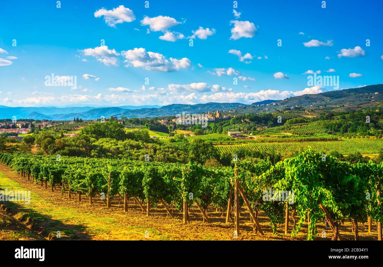 Vinci, sangiovese Weinberge und Dorf im Hintergrund. Chianti Produktionsgebiet, Florenz, Toskana Italien Europa. Stockfoto