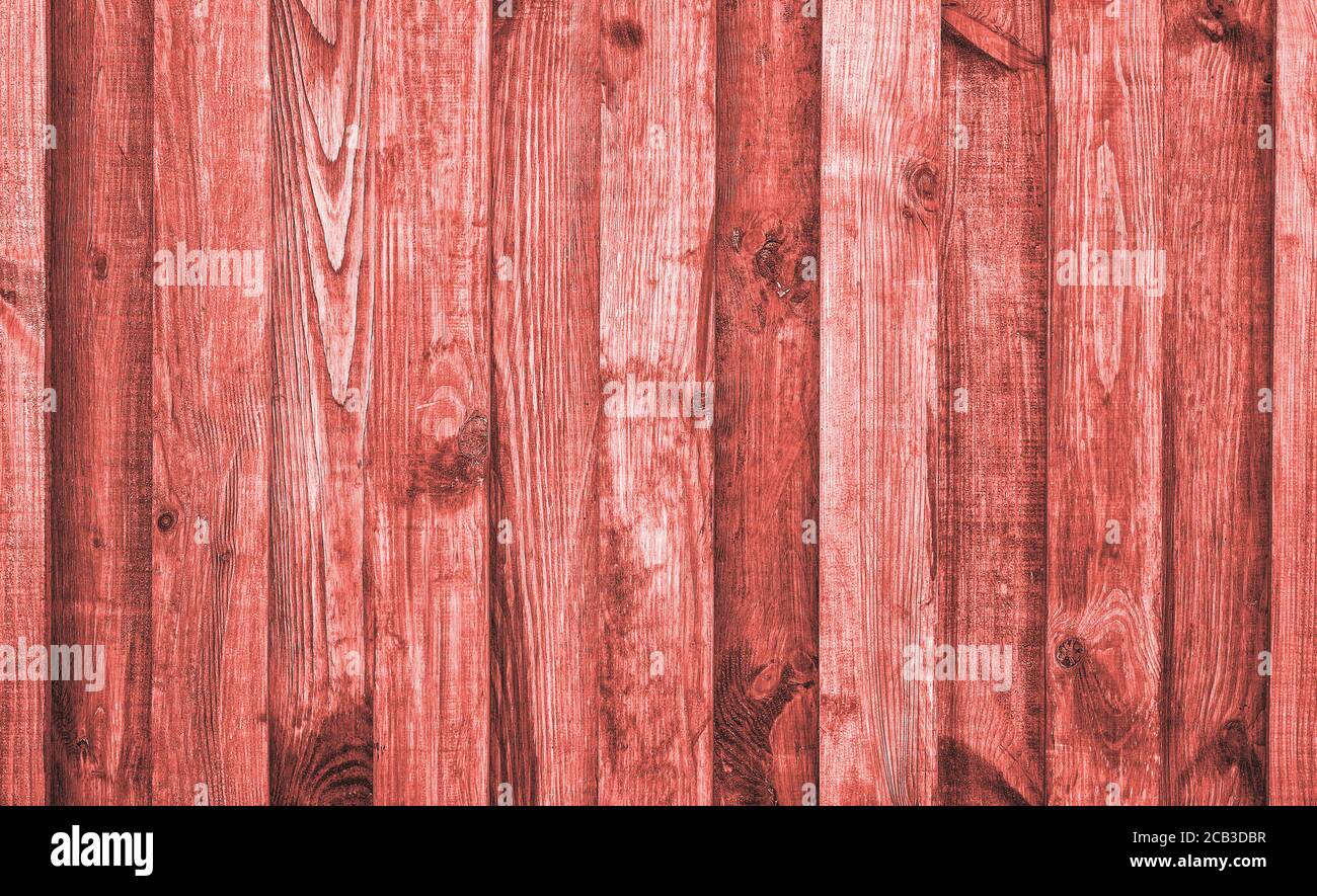 Rosa oder Korallen Holzstruktur für Hintergrund oder Mockup. Alte rustikale Holzstruktur aus der Nähe. Zaun Textur oder flaches Holz Banner, Plakatwand, Schild Stockfoto