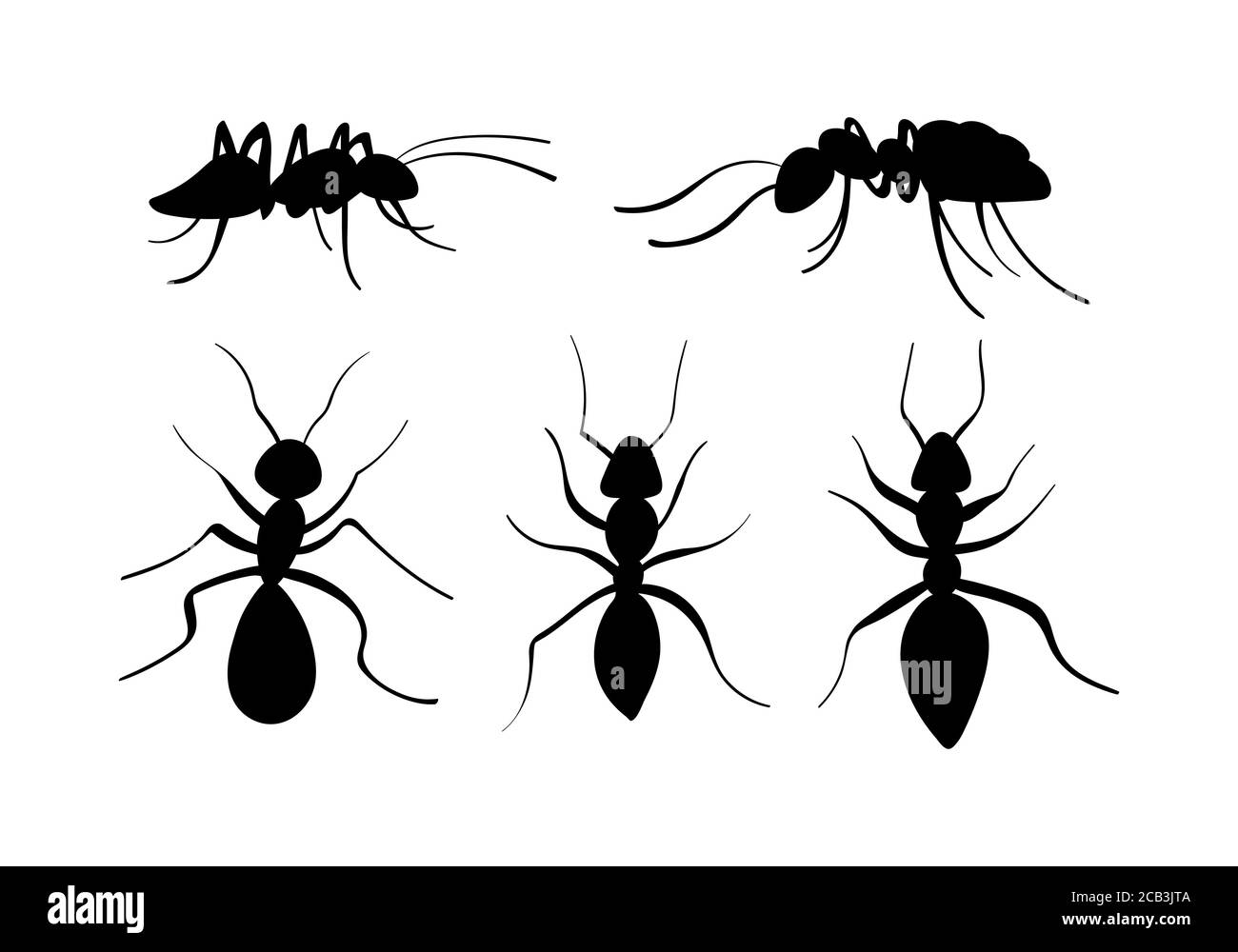 Handgezeichnete Ameisen Sammlung. Schwarze Insekten Silhouetten. Vektorgrafik. Stock Vektor