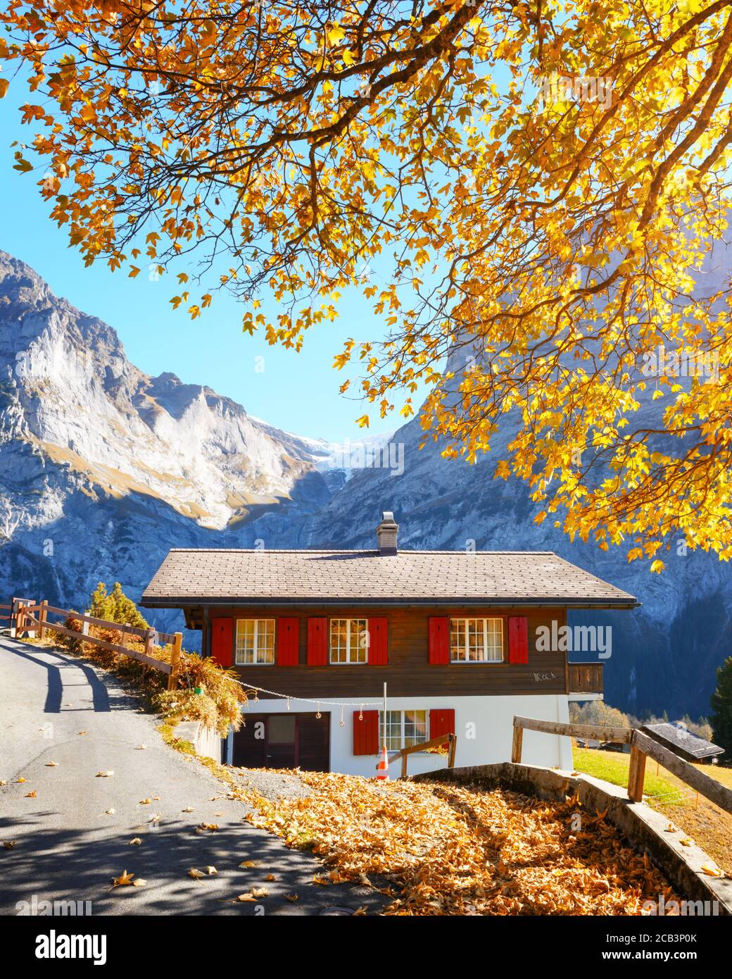 Malerische Herbstlandschaft in Schweizer Bergen. Traditionelles Holzhaus und gelbe Blätter in Grindelwald Dorf, Schweizer Alpen Stockfoto