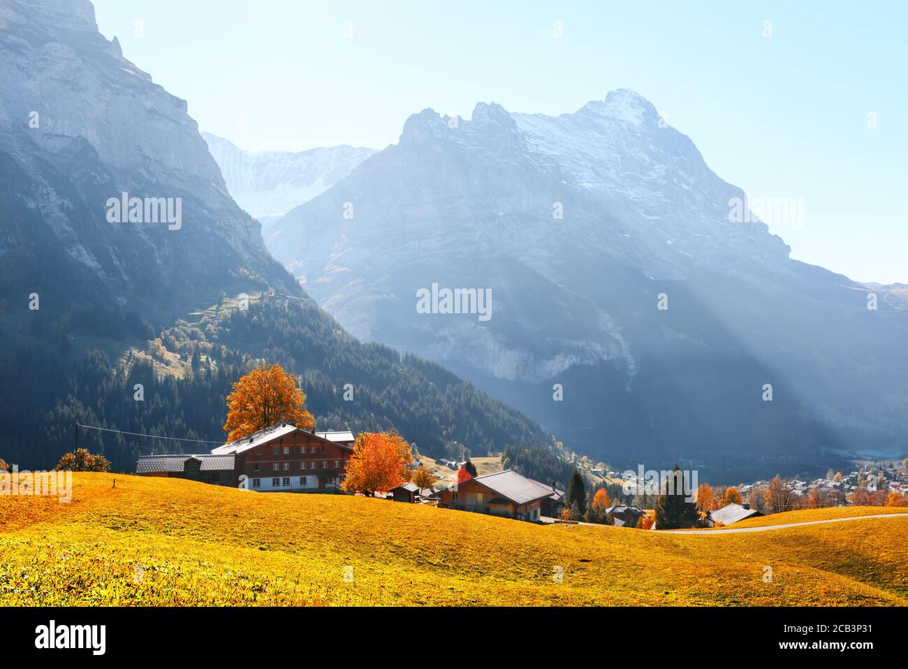 Malerische Herbstlandschaft in Schweizer Bergen. Gelbe Blätter und Holzhäuser im Dorf Grindelwald in den Schweizer Alpen Stockfoto