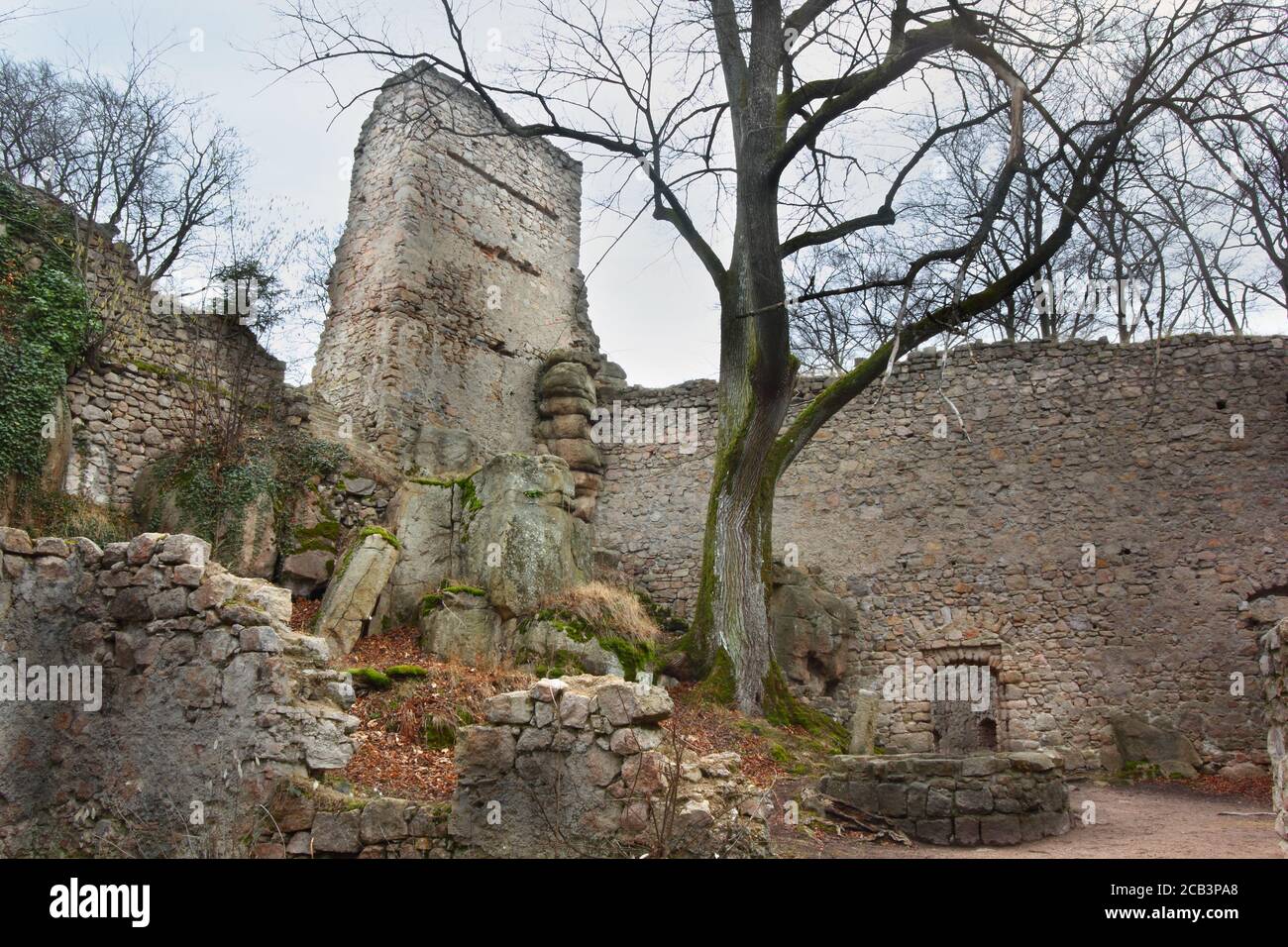 Ruinen der Burg Bolczow im Riesengebirge in Polen Stockfoto